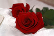 rote rosen