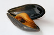 moule
