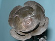 fleur de metal