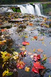waterfall with red leafs