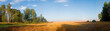 Photo en ligne au meilleur prix cornfield in the morning