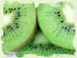grunge kiwi background