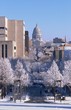 capitol city scene