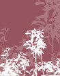 foliage