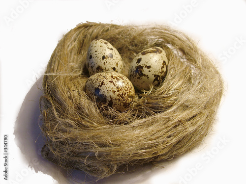 golden eggs