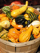 gourds in a basket