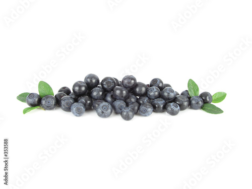 Photo: bilberries bilberries
