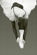 ballett tänzerin