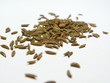 cumin
