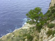felsküste von mallorca