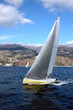 canvas print picture sailing in madeira island