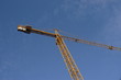 grue