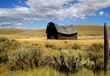 saddleback barn 3