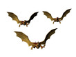 dragon trio