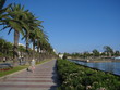 palmenpromenade in spanien