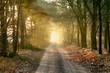 there is light there is light