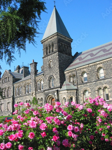 Photo: university of toronto rose garden university of toronto rose garden