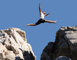 boy jumping over the mountains