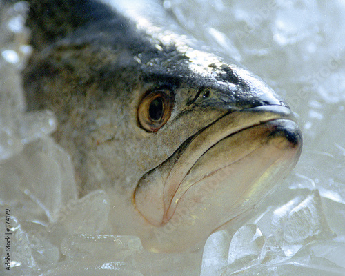 big mouth fish