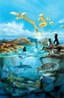 galapagos (carte muette) galapagos (carte muette)