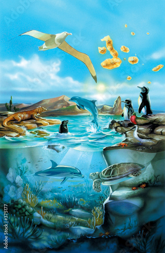 galapagos (carte muette)
