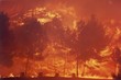 feu des alpilles