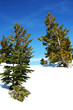blue sky and snow