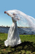 bride outdoors