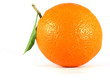 Photo: orange orange