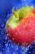 apple apple