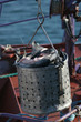 retour de pêche