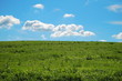 Photo: the sky's the limit the sky's the limit