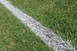 crossing the line