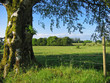irish countryside
