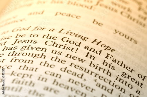 text of the bible in macro text of the bible in macro