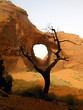 window rock