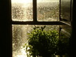 temps de pluie dimanche à la campagne