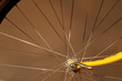 Photo: wheel spokes wheel spokes