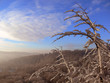 in winter in winter