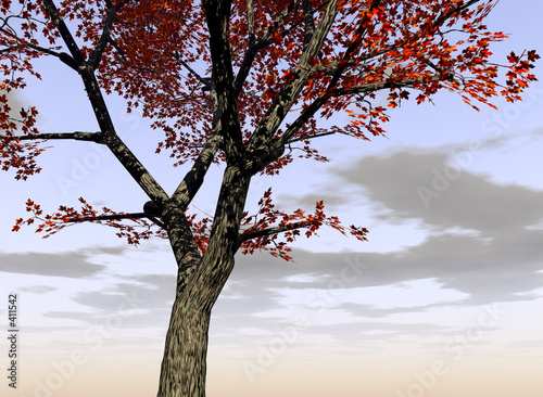 Illustration: maple tree 2 maple tree 2