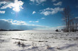 winter meadow