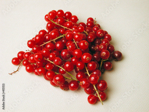 groseilles groseilles