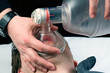 providing artificial ventilation with bvm 2 providing artificial ventilation with bvm 2