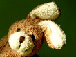 osterhase