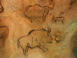 peinture rupestre