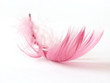 feather