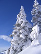 winterlandschaft