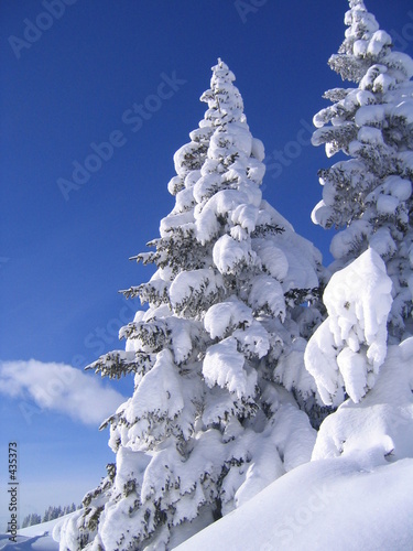winterlandschaft