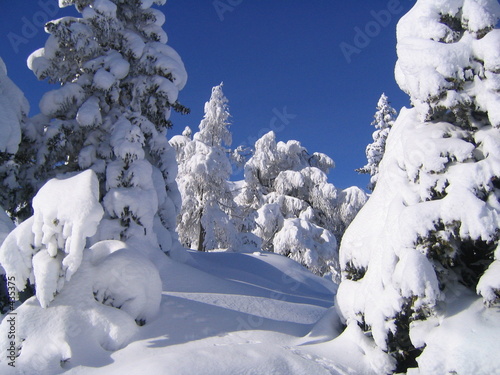 winterlandschaft