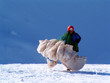 paragliding